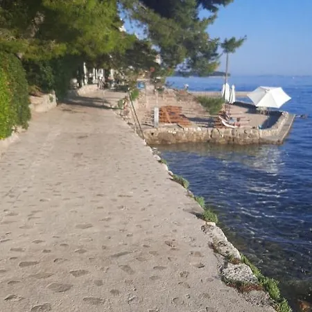 Zlatko, Palit, Rab * Palit