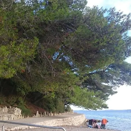 Apartman Zlatko, Palit, Rab