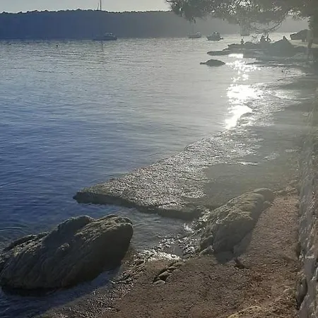 Zlatko, Palit, Rab *