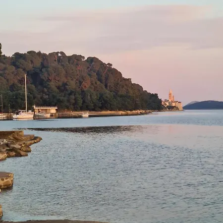 Apartman Zlatko, Palit, Rab *