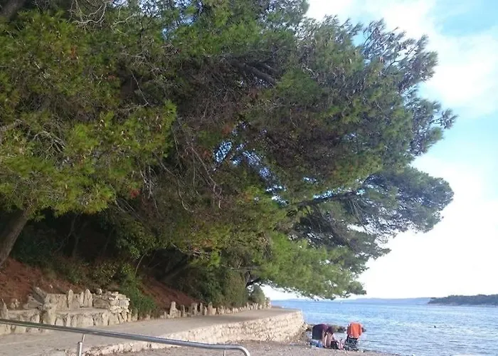Appartamento Zlatko, Palit, Rab