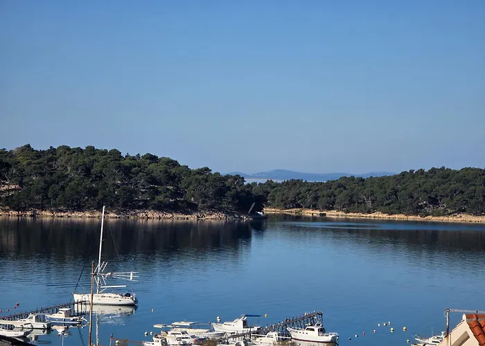 Zlatko, Palit, Rab Palit